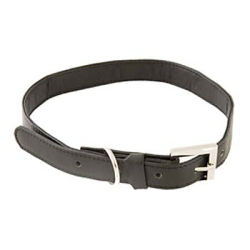 Dog Collars